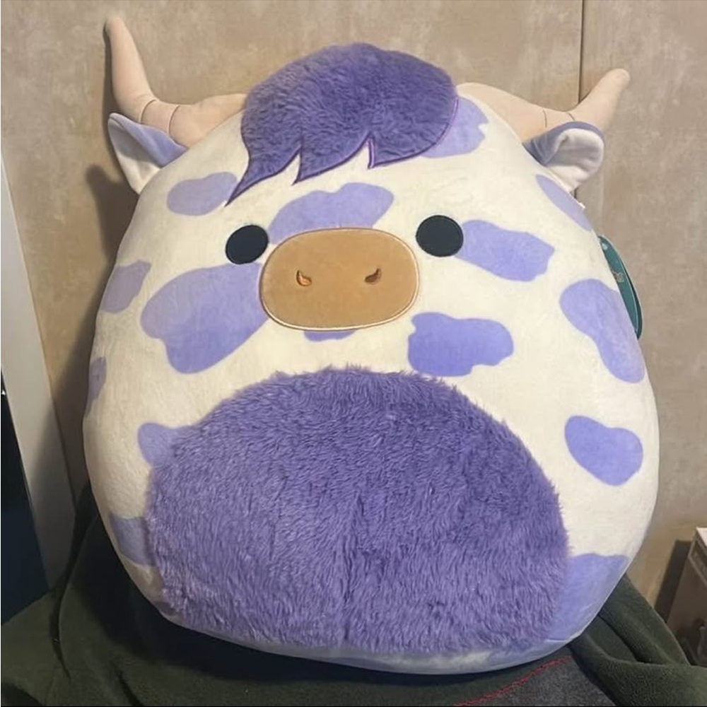 Highland Cow Squishmallow - Conway